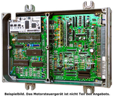 HondaVERT S300 USDM/JDM